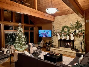 Smart-tv, pejs, videospil, bøger