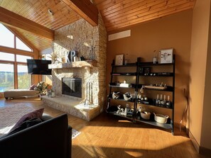 Smart TV, fireplace, video games, books