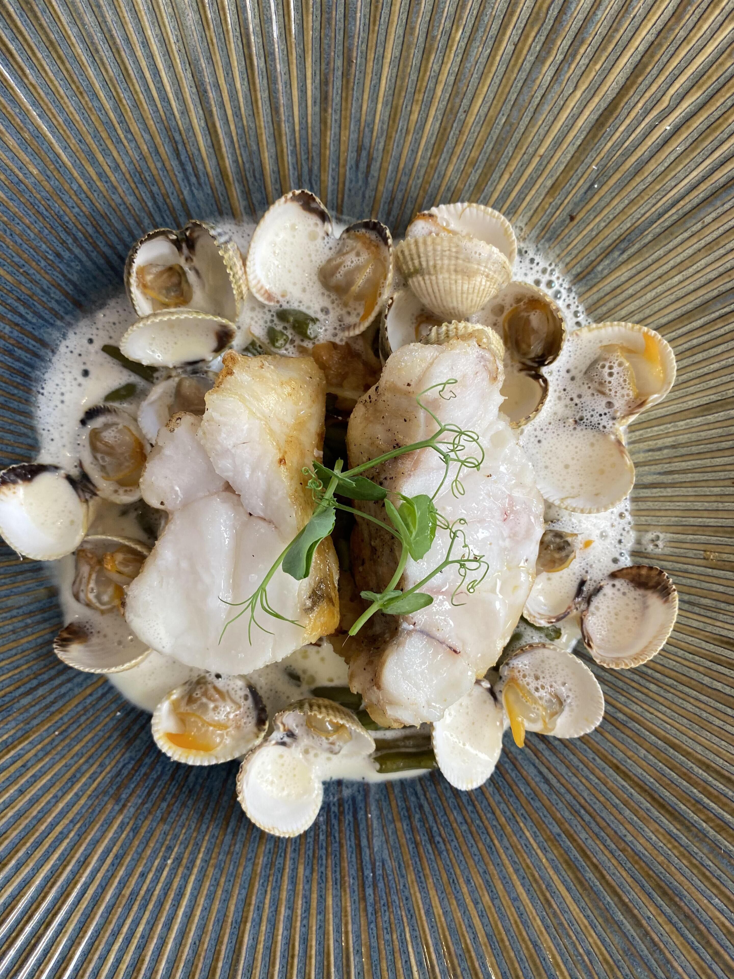 Un plato con mariscos y vegetales sobre un plato con borde azul.
