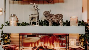 A fireplace with a TV above it, surrounded by decorative items and a basket labeled "Dog sofa cover". - Luxurious Mountain Retreat Lodge Hunters Quay (Dunoon)