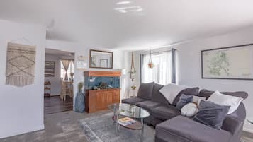 智能电视、壁炉、DVD 播放器、书