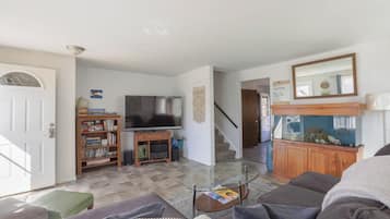 Smart TV, fireplace, DVD player, books