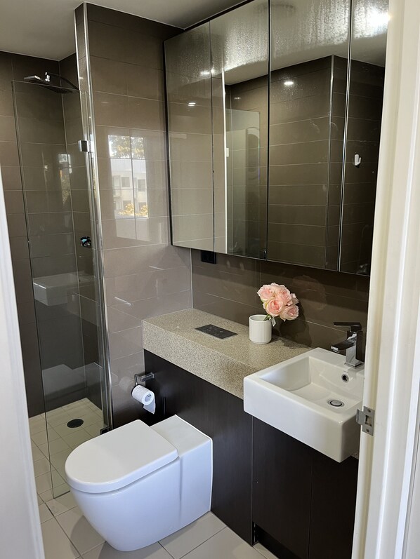 Shower, towels, toilet paper