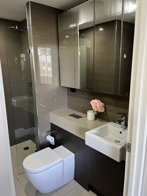Shower, towels, toilet paper