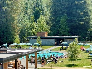 Pool - Sunny Wine Country Retreat Near the River (Guerneville)