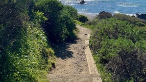 Camino costero con abundante vegetación y afloramientos rocosos que conducen al mar.