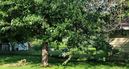 Cheshire House // Family Home, Fenced Yard, Pet Friendly, 2 mi from Mayo Clinic