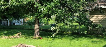 Cheshire House // Family Home, Fenced Yard, Pet Friendly, 2 mi from Mayo Clinic