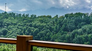 Vista de uma floresta densa com um corrimão de madeira em primeiro plano.