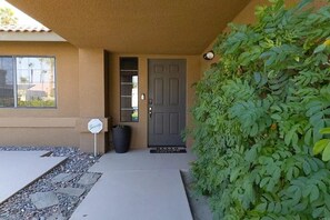 Enter a residence with a secure entrance featuring a door, window, and potted plant.