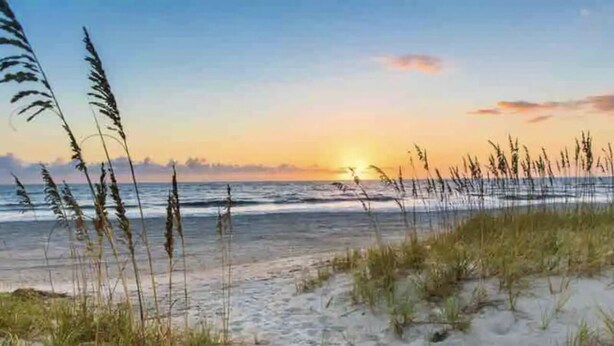 Une plage de sable avec de hautes herbes, un coucher de soleil en arrière-plan et des vagues calmes.