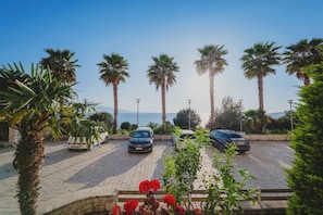 A parking area with three cars, palm trees, and a view of the sea.