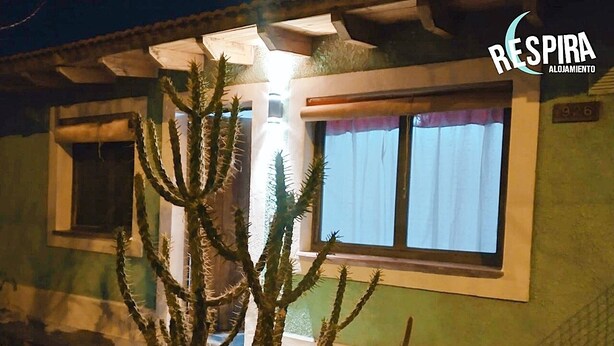 Un b âtiment à la façade verdoyante, une fenêtre avec des rideaux et un cactus au premier plan.
