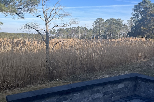 Brand new stone wrap around patio accentuating the gorgeous view.