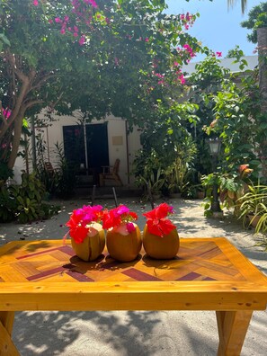 Food and drink - Lagoon Villa Thoddoo (Thoddoo)