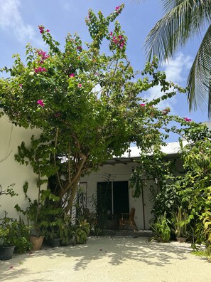 Exterior - Lagoon Villa Thoddoo (Thoddoo)