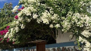 واجهة المنشأة