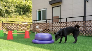 A dog agility course with cones and a tire on artificial grass, a fence, and a building in the background. - Hongcheon Stoneisland Pension (Hongcheon)