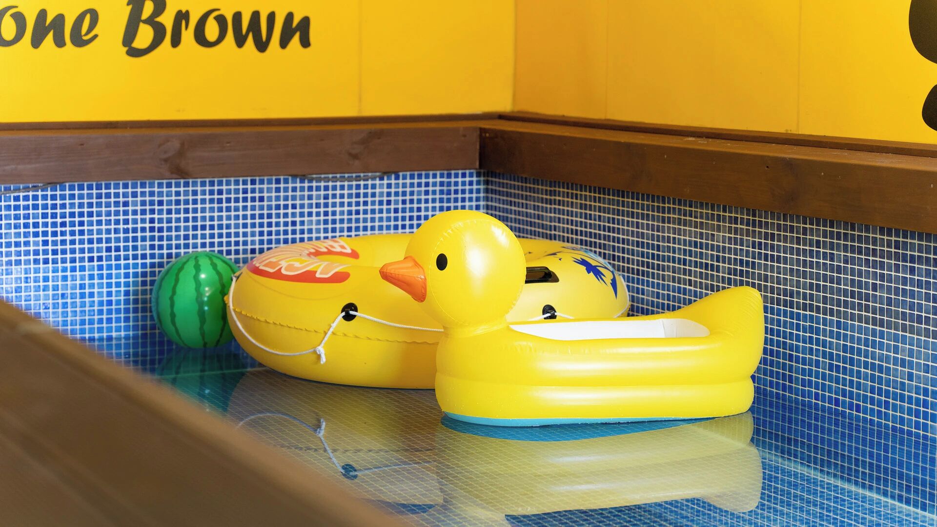 Ein Poolbereich mit einer gelben Schwimmenten und einem grünen Ball.