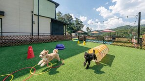 Exterior - Hongcheon Stoneisland Pension (Hongcheon)