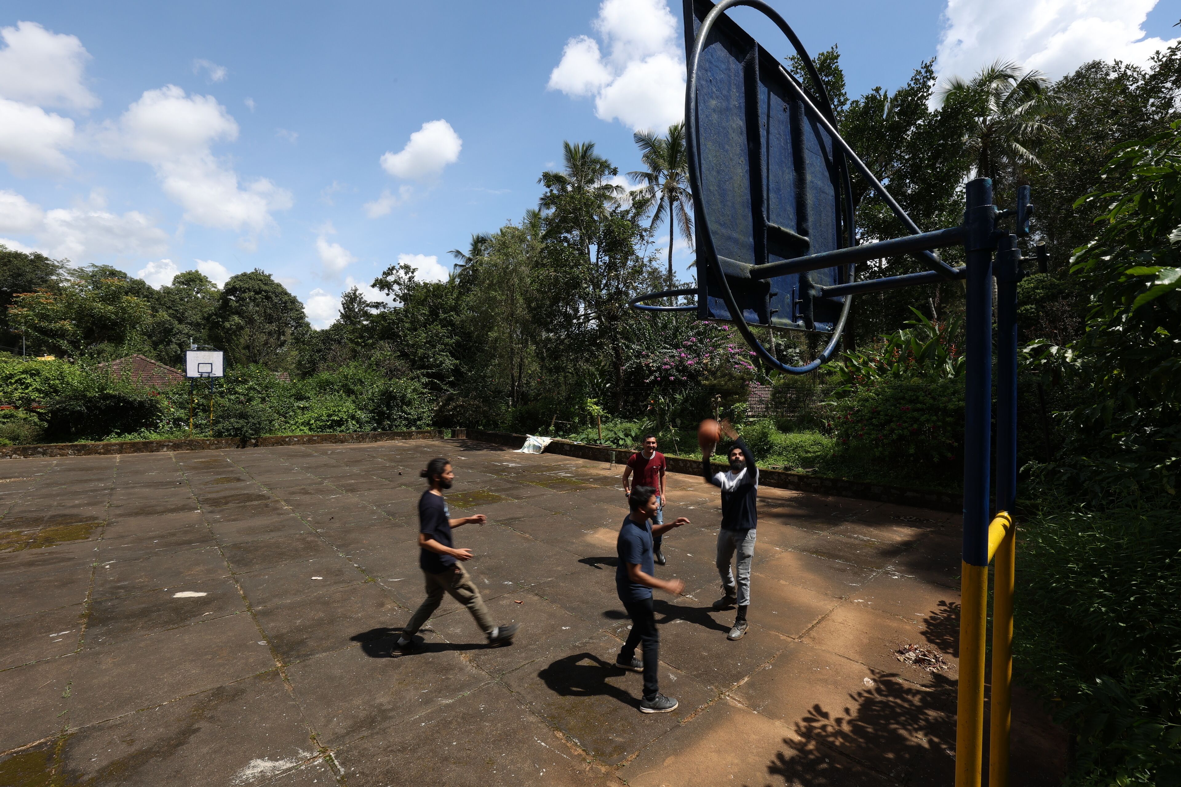 Una cancha de baloncesto al aire libre con un aro, rodeada de follaje y árboles.