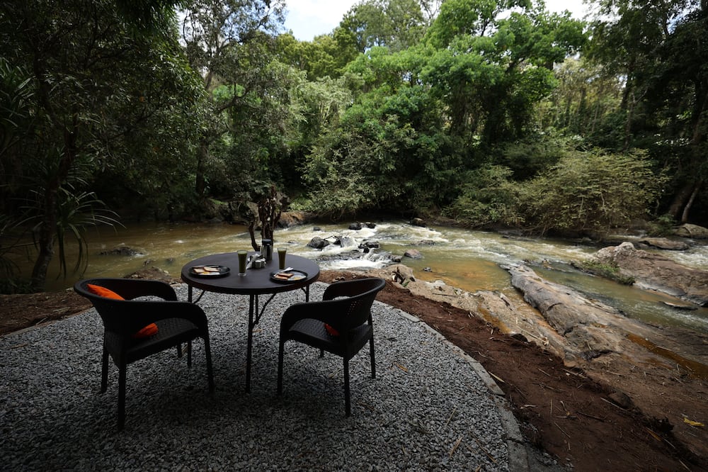 Avadale Coorg Stag - Groups Not Allowed