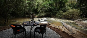 Avadale Coorg Stag - Groups Not Allowed