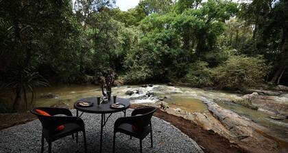 Avadale Coorg Stag - Groups Not Allowed