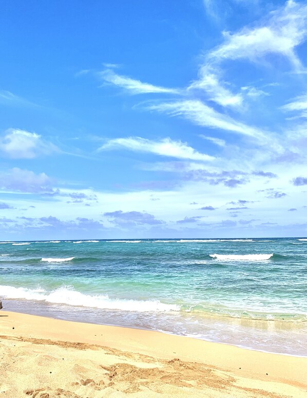 Playa en los alrededores 
