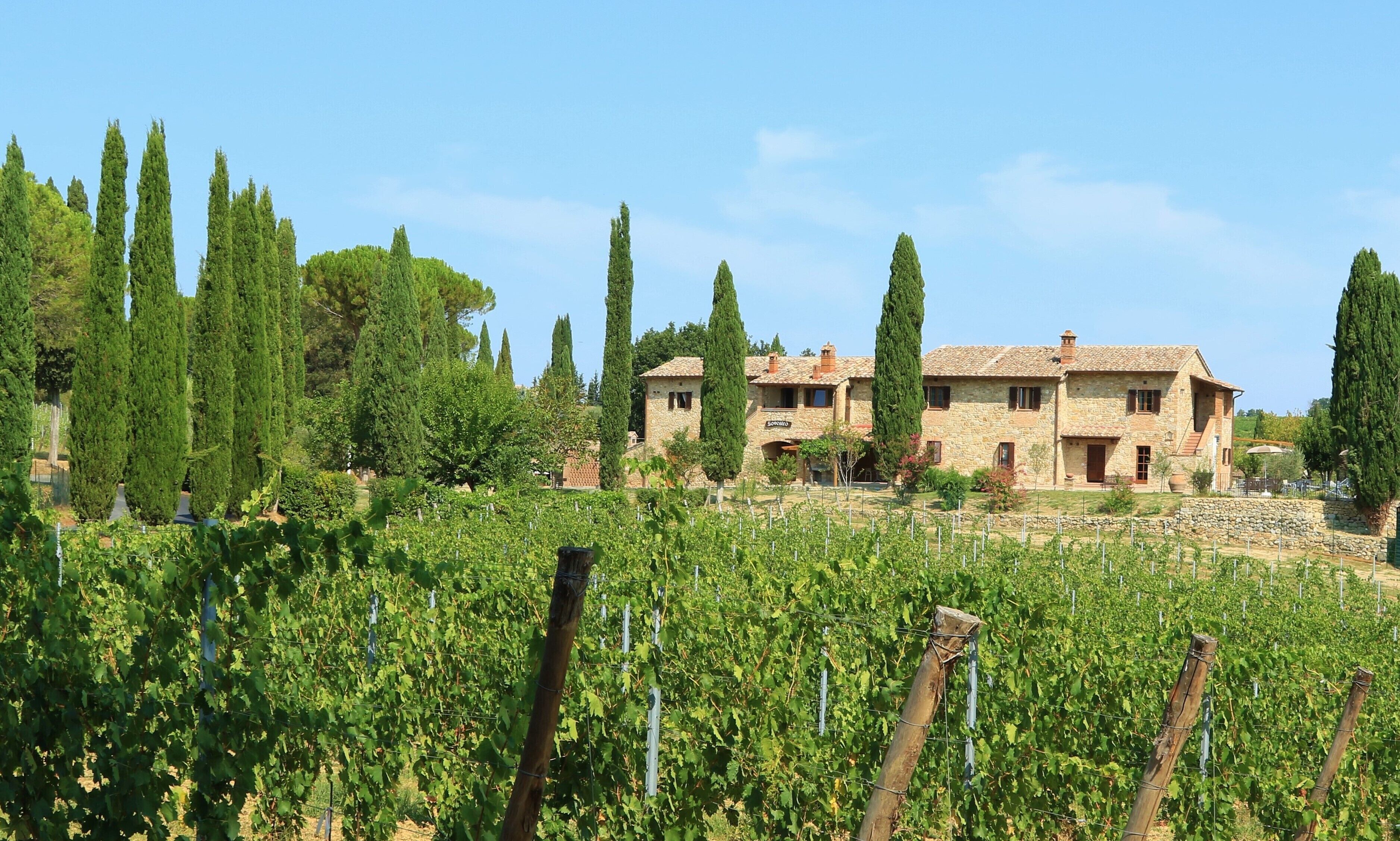 A stone building with a vineyard in the foreground.