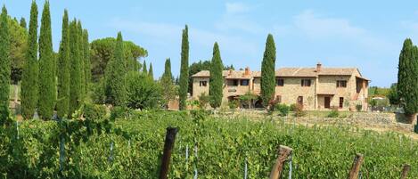 A stone building with a vineyard in the foreground.