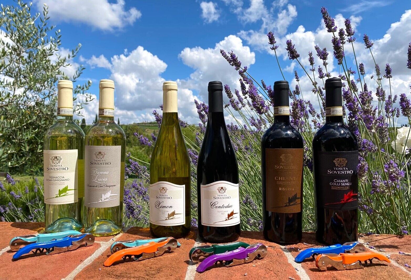 A row of wine bottles with labels, set against a backdrop of lavender and a clear sky.