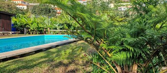 Villa Santa Madalena, a Home in Madeira