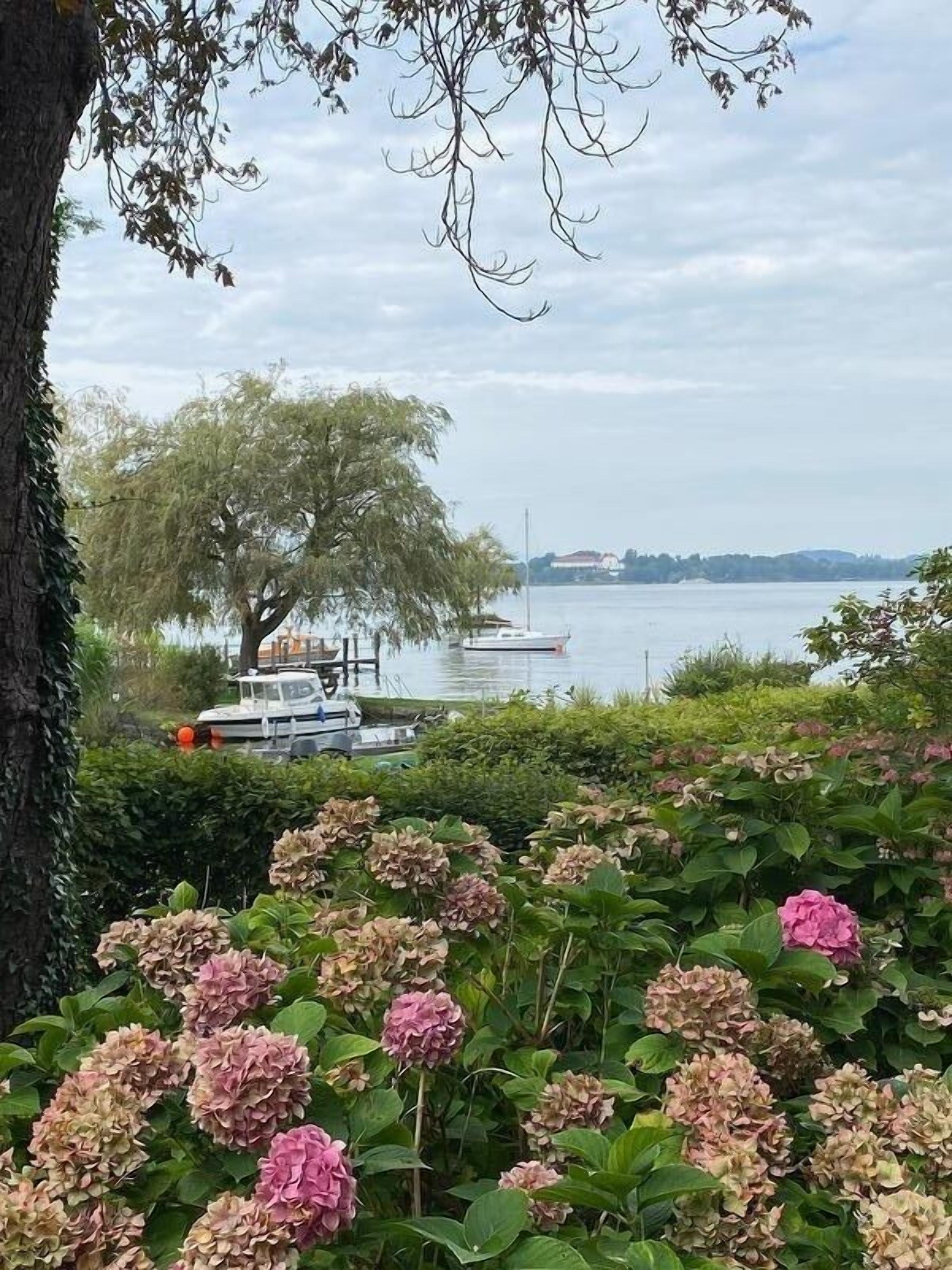 A waterfront view with a tree and hydrangea flowers in the foreground, boats docked in the background.