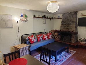 Smart-TV, Kamin