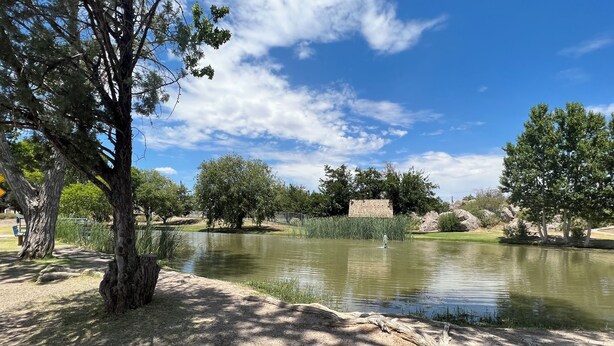 A serene park with a pond, trees, and a clear sky.