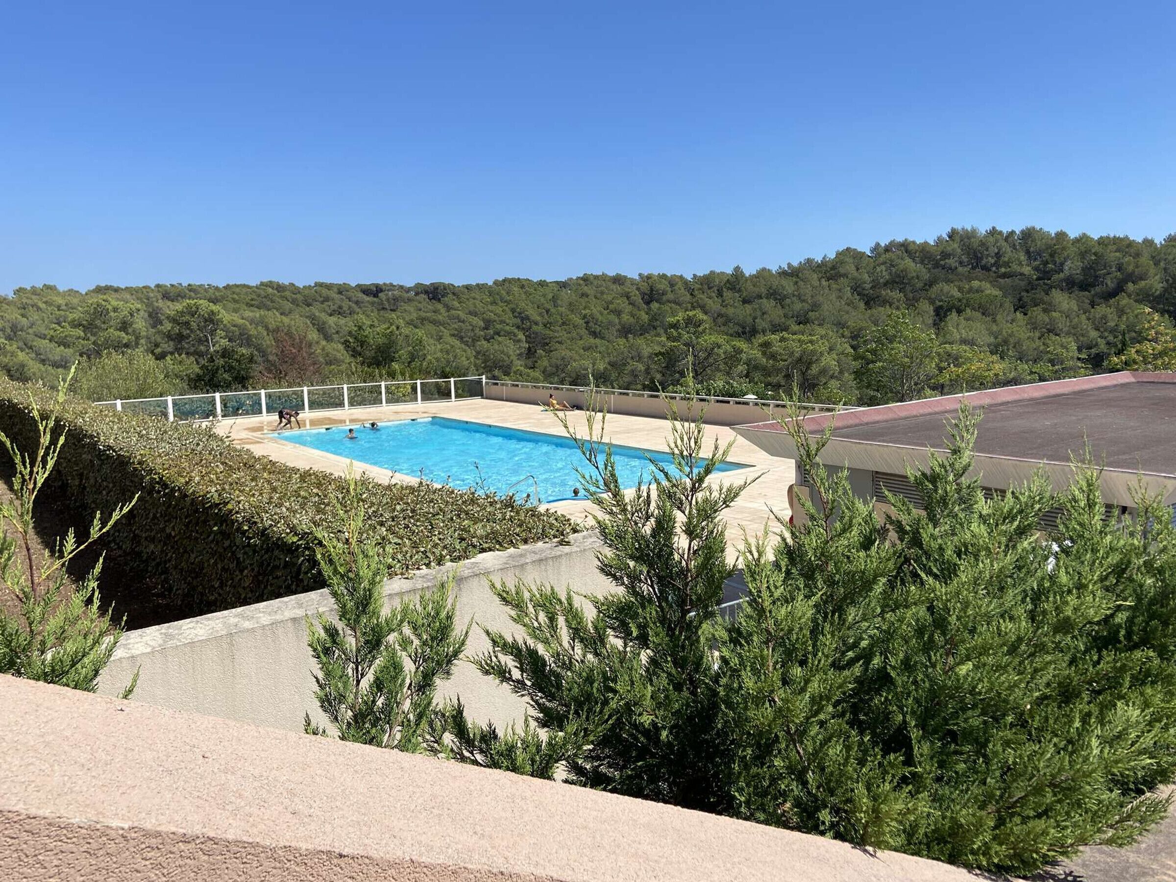 Une piscine rectangulaire entourée d’une clôture blanche, de verdure et d’arbres.