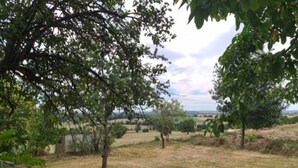 Un campo cubierto de hierba con árboles y una vista distante del paisaje.
