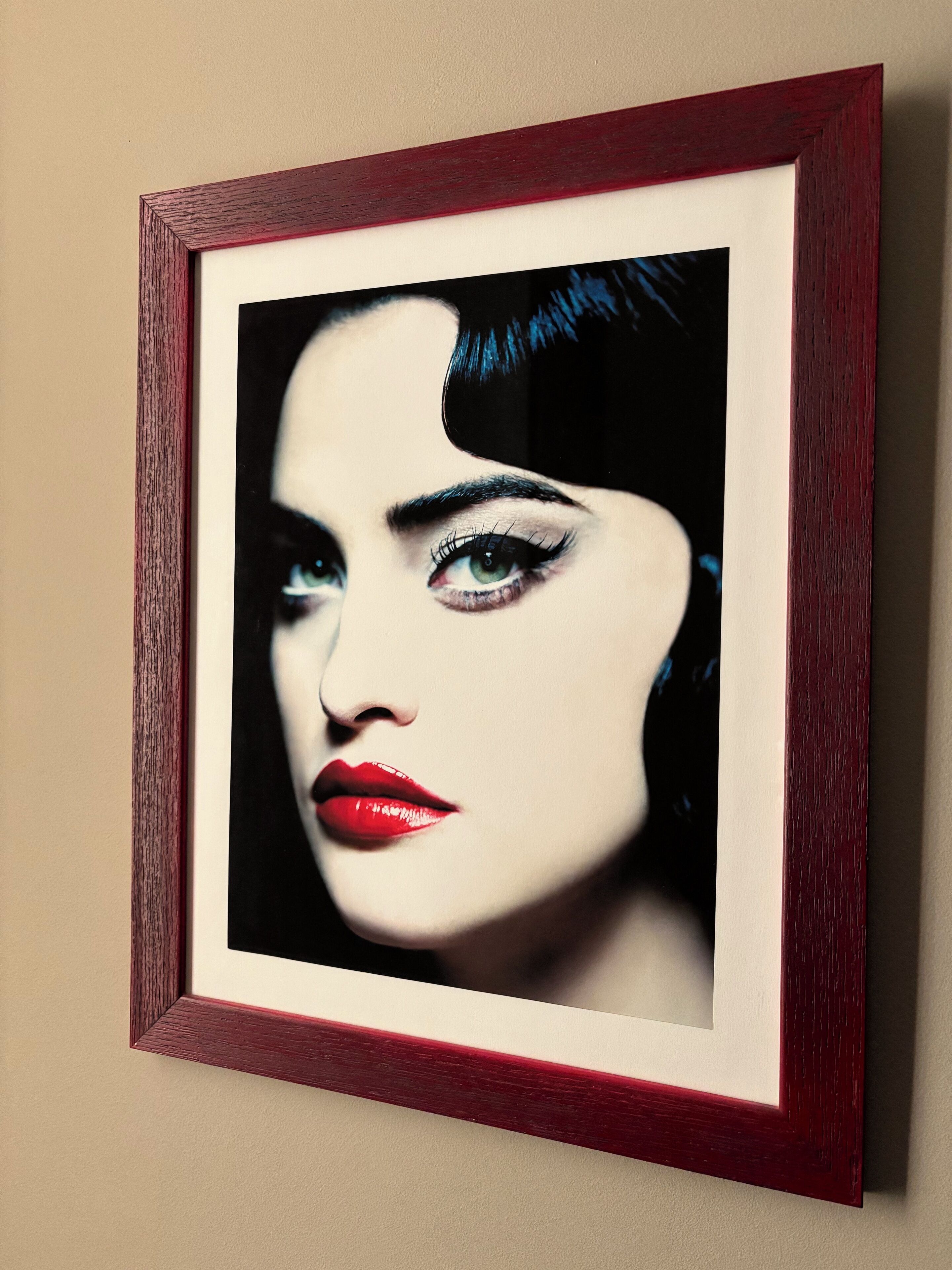 A framed portrait with a dark background and a red frame.