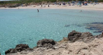 Modern Beach Style Villa, Close To Beach, Restos & Shops, Big Pool, Renovated.