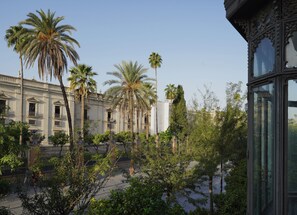 Vista desde la habitación