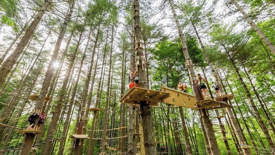 A forested area with wooden platforms and ropes for an adventure activity.