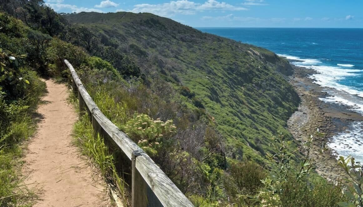 A coastal hiking trail with a wooden fence, lush greenery, and a view of the ocean.