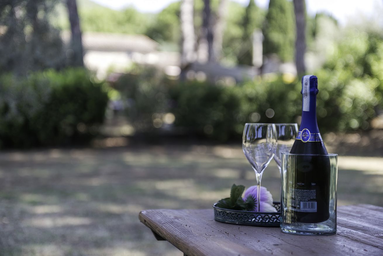 Una botella de vino y una copa sobre una mesa de madera al aire libre.