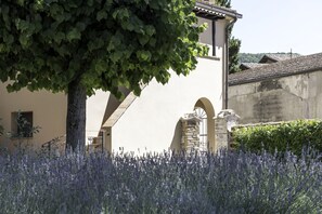A building with arches, a tree, and lavender fields.