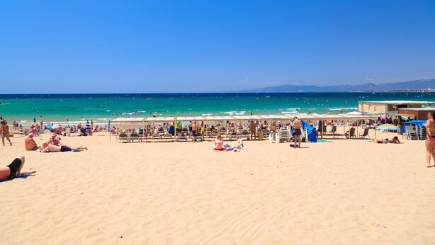 Une plage où l’on peut voir des gens bronzer et se baigner, ainsi que des tentes et des chaises de plage.