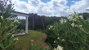 Um jardim com pérgola, vegetação exuberante e flores brancas.