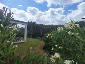 Property grounds - Ohana House, St. Peter at Sea (San Pietro a Mare)