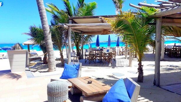 A beachside lounge with outdoor seating, palm trees, and a view of the ocean.