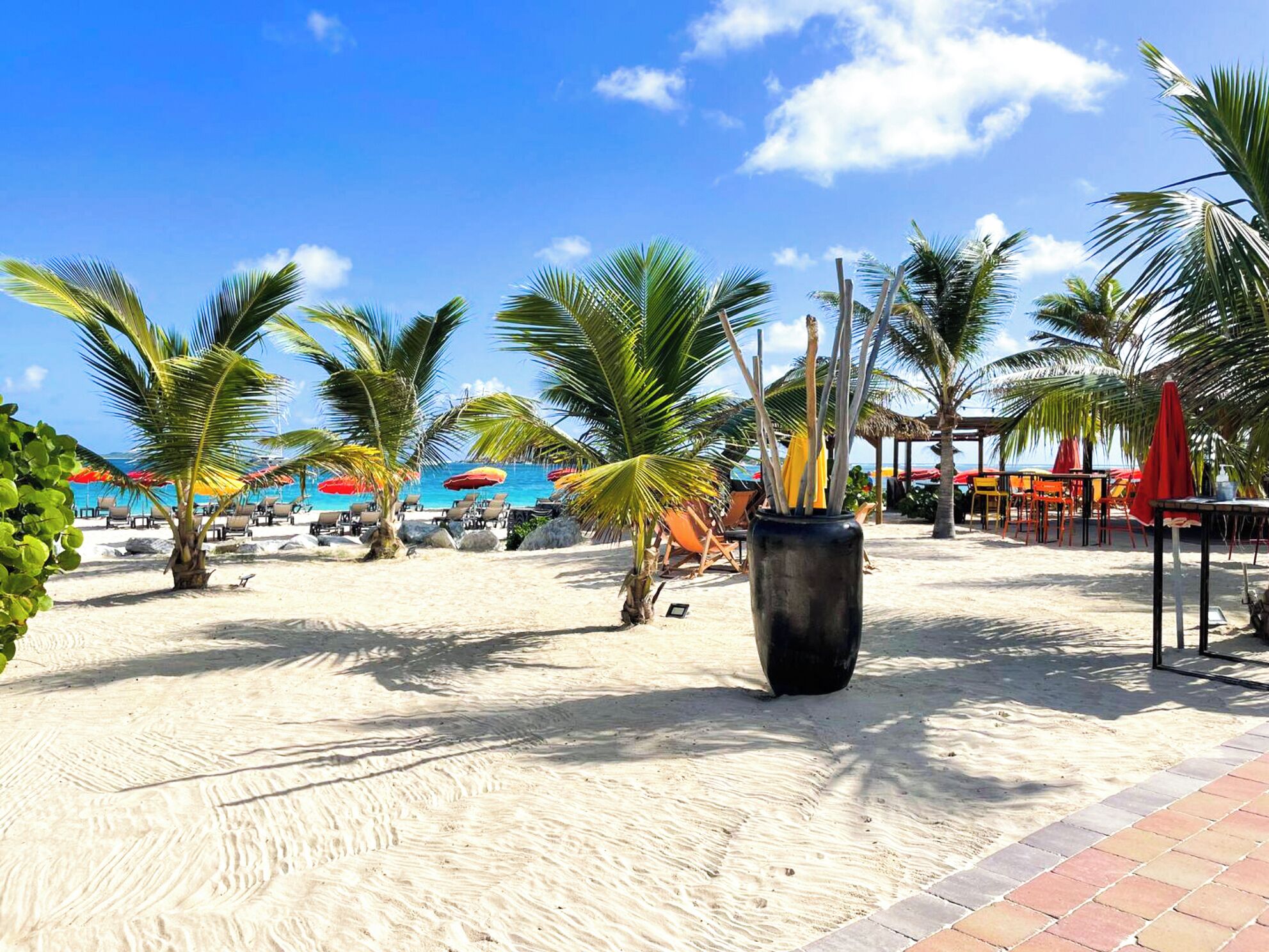 Een strand met palmbomen, ligbedden en parasols.